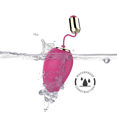 G het Geslachtsspeelgoed van het Vlek Trillend Ei voor Vrouwen Draadloze Controle Mini Flower Silicone