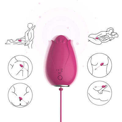 G het Geslachtsspeelgoed van het Vlek Trillend Ei voor Vrouwen Draadloze Controle Mini Flower Silicone