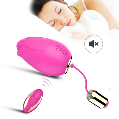 G het Geslachtsspeelgoed van het Vlek Trillend Ei voor Vrouwen Draadloze Controle Mini Flower Silicone