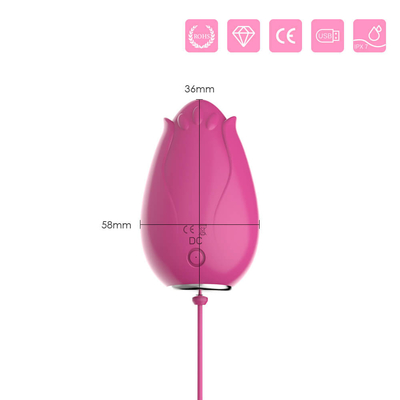 G het Geslachtsspeelgoed van het Vlek Trillend Ei voor Vrouwen Draadloze Controle Mini Flower Silicone