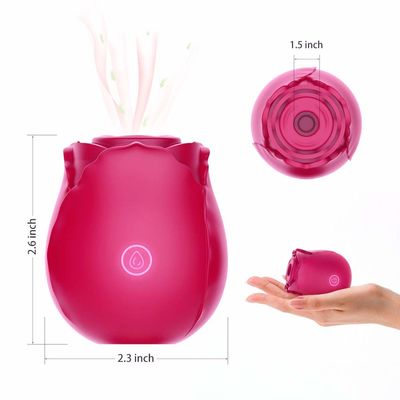 10 de Zuigende Vibrator van wijzenrose clitoral sucking vibrator rechargeable voor Wijfje