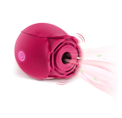 10 de Zuigende Vibrator van wijzenrose clitoral sucking vibrator rechargeable voor Wijfje