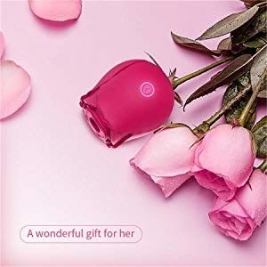 10 de Zuigende Vibrator van wijzenrose clitoral sucking vibrator rechargeable voor Wijfje