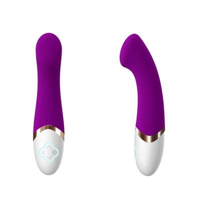 In het groot Elektrisch Lichaam het Verwarmen Volwassen het Geslachtsspeelgoed van Vibratormassager