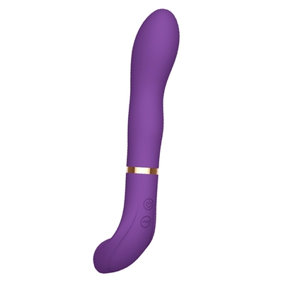 De super Vibrator van Machtsdildo voor Navulbare Anaal van Vrouwenusb en Vaginal Vibrator