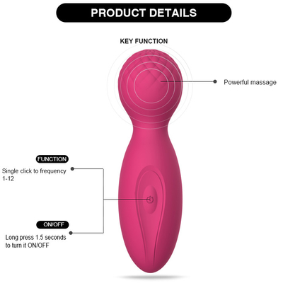 12 snelheid 10 van het Siliconeg van het Functiesatijn van de de Vlekvibrator het Geslacht Toy Mini Wand Massager