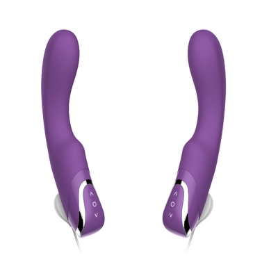 Stilte 10 het Konijnvibrator van Snelheids Realistische Anale Dildo voor Vrouwenvagina