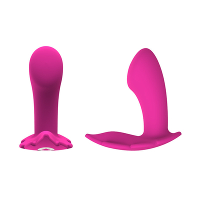 Wearable Vibrator Over lange afstand van de paarafstandsbediening voor Vrouwen