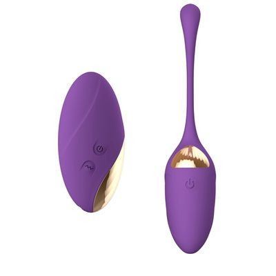 Pussy van het vrouwensilicone van het Ei Anale USB van de Vibratorliefde het Herladen Draadloze Afstandsbediening