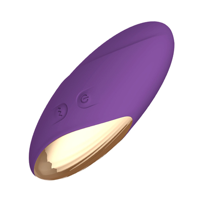 Comfort Stille Vibrator voor van de de Eieren Trillend Liefde van de Vrouwen Trillend Sprong de Ballensilicone